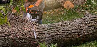 Best Landscape Design and Installation  in Merced, CA