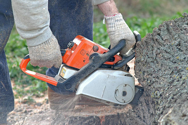 Best Lawn Mowing  in Merced, CA